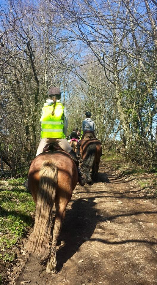 11138510 656321011162197 4064850536347132976 n