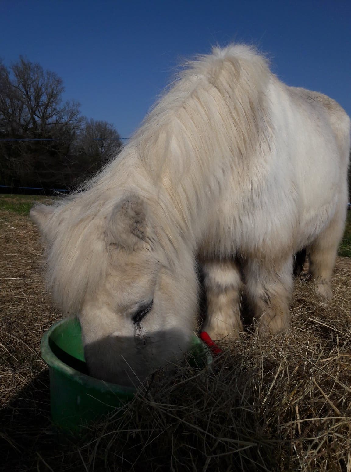 156889387 3351195178318822 8088339237986848210 n