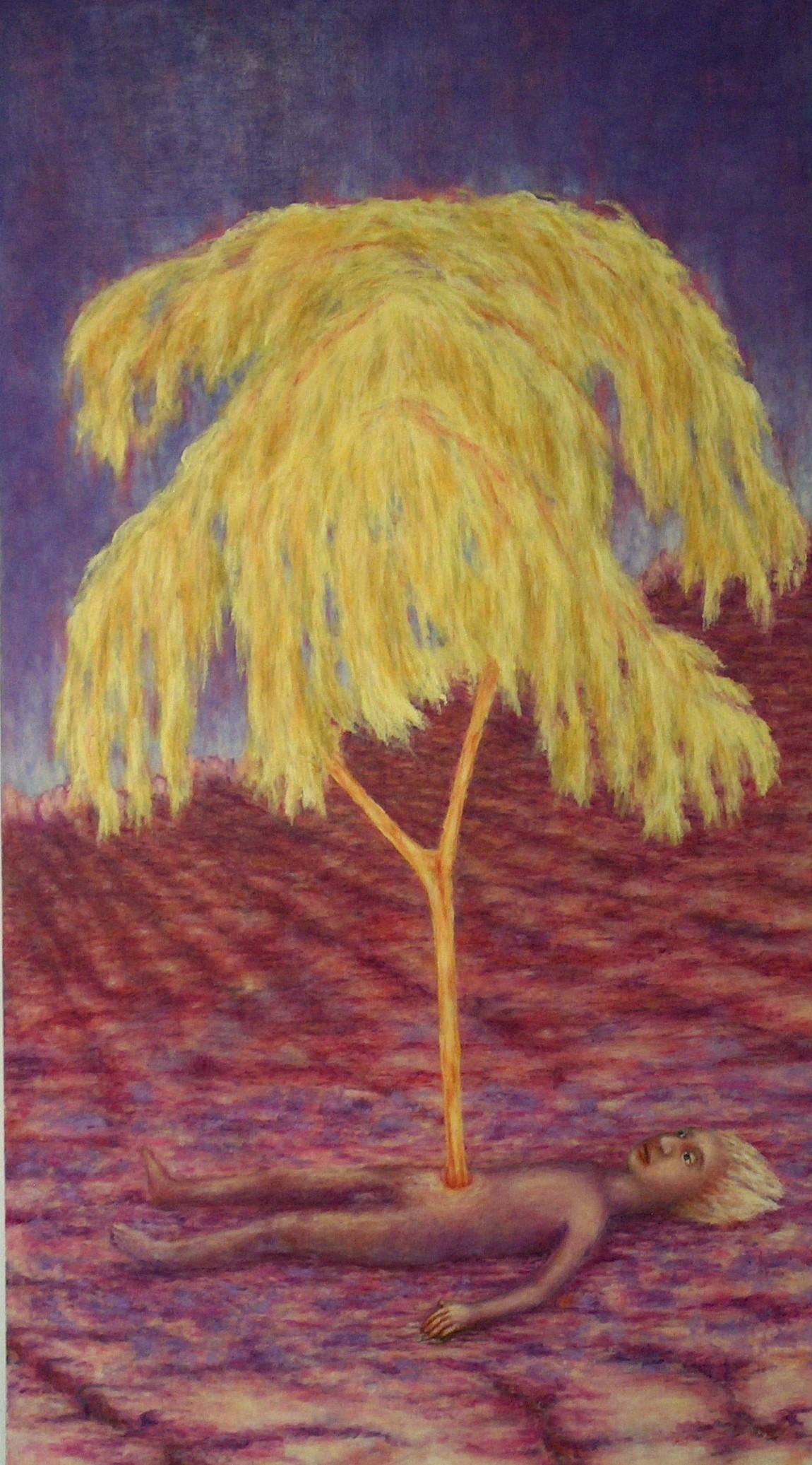 The tree 3 
