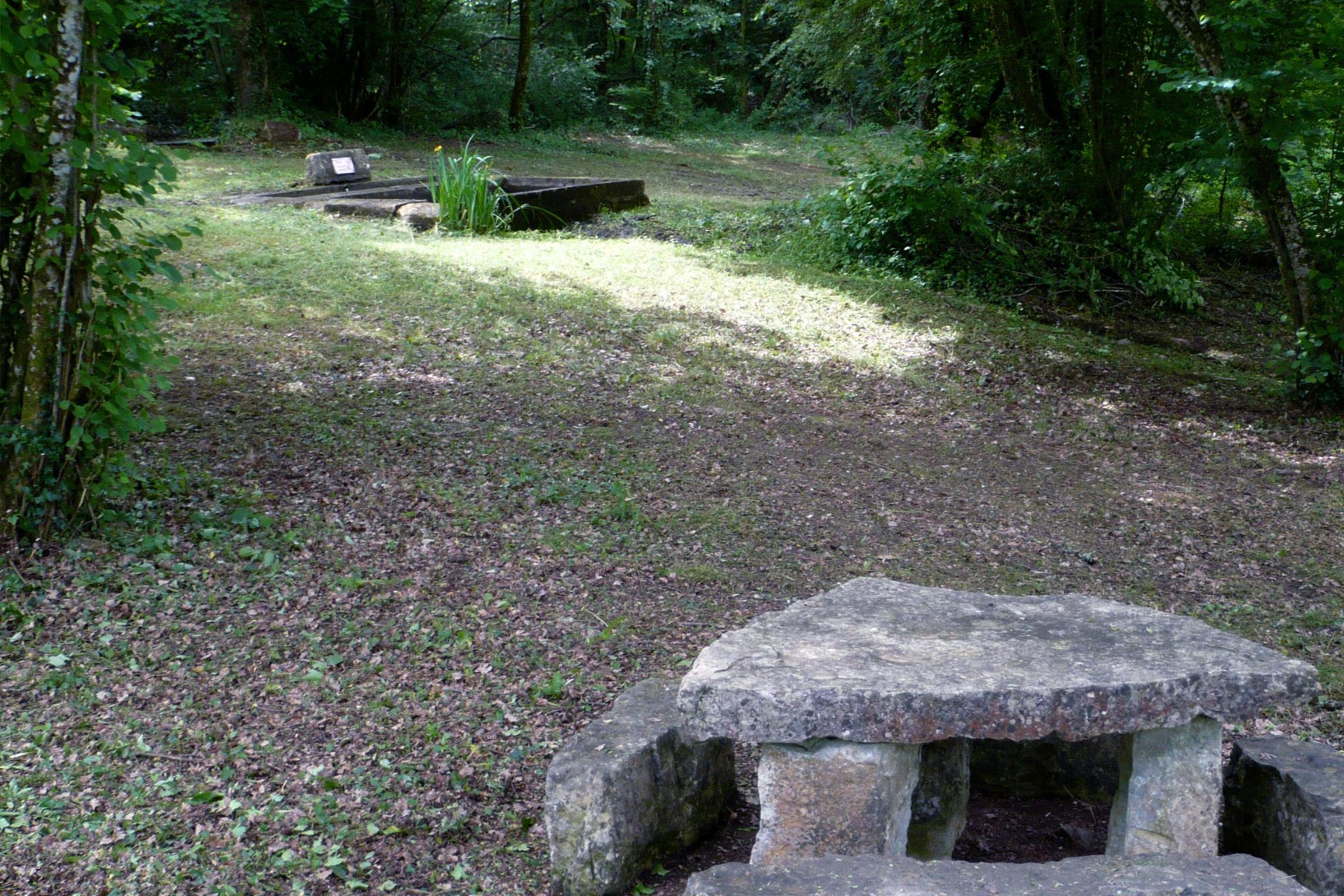 Picnic galantie sd