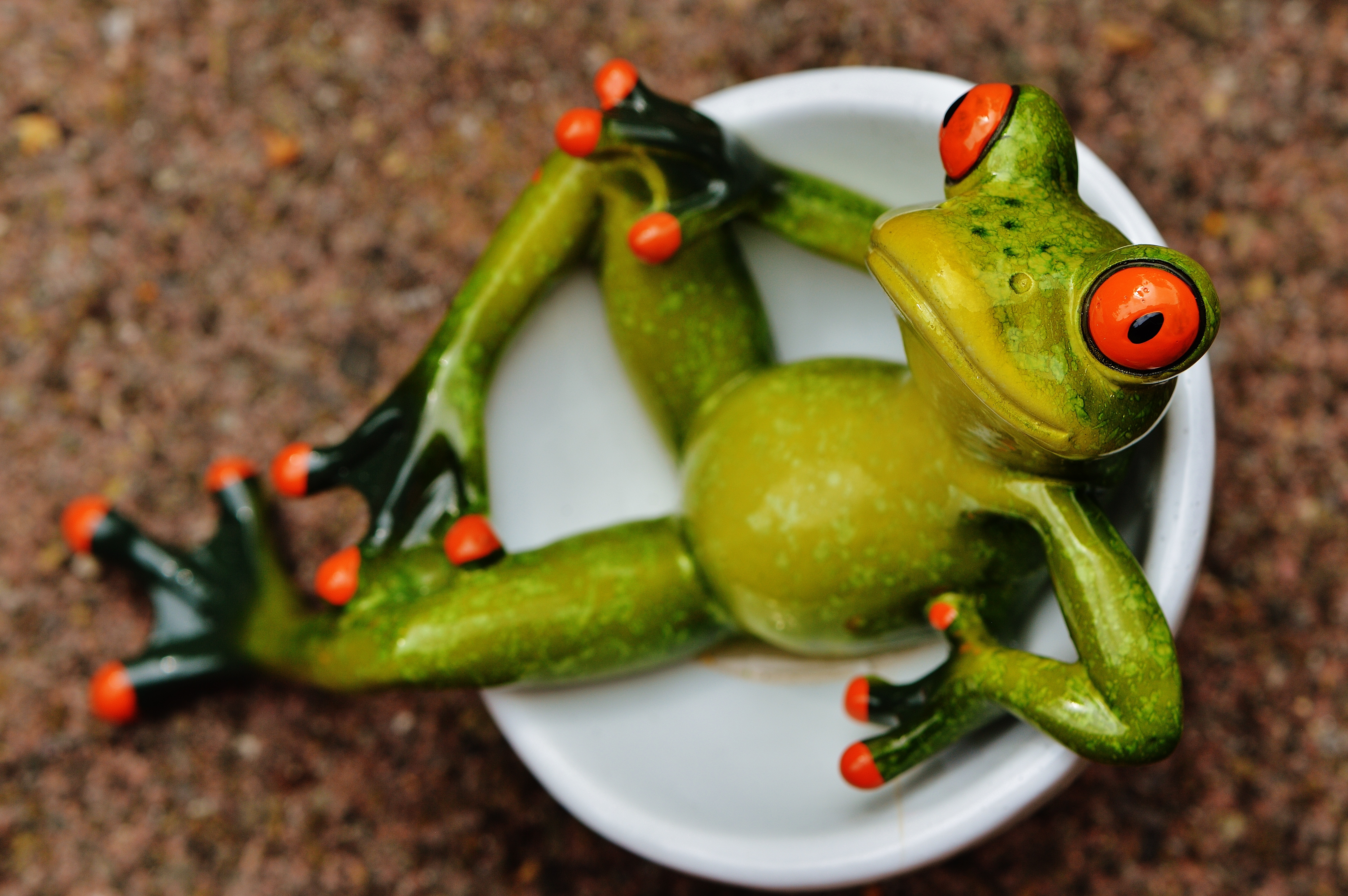 Frog-1536919