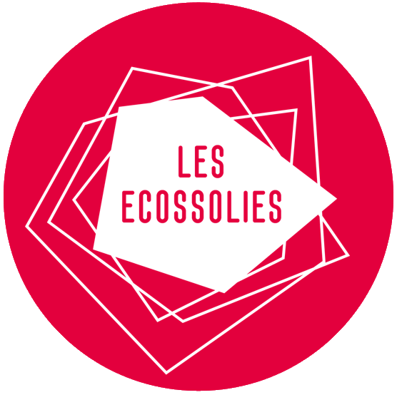 Logo ecossolies pastille-detouree blanc