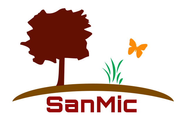 Logo-SanMic-623-x-416