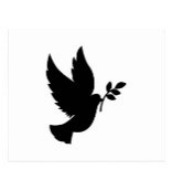 Colombe
