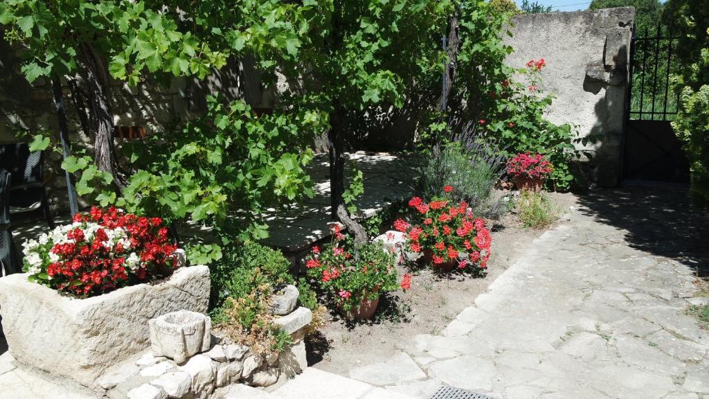 Fleurs