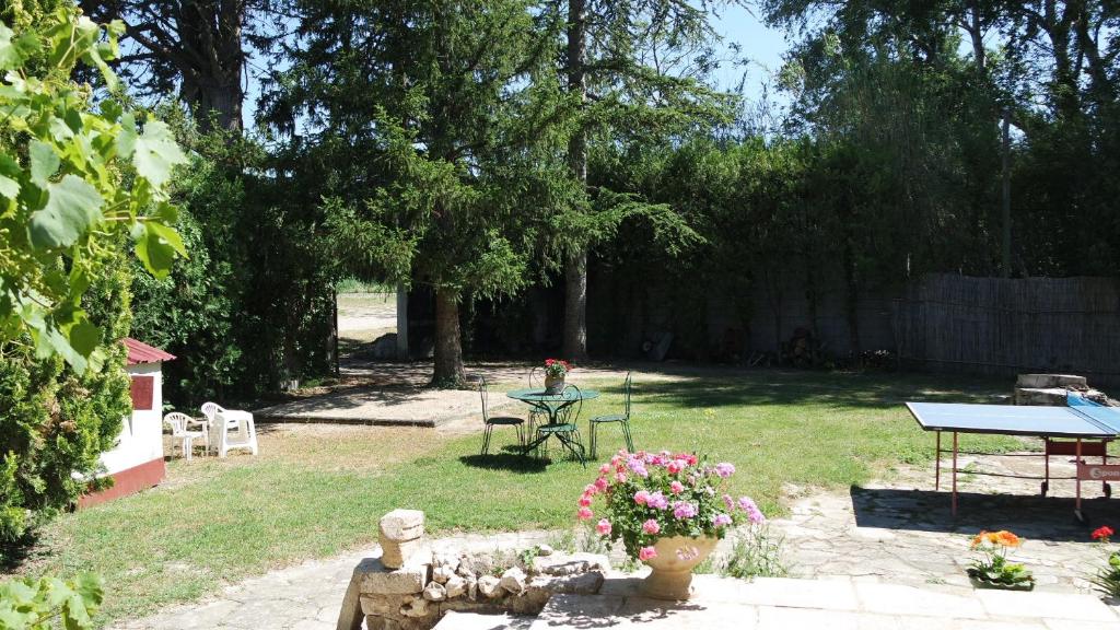 Jardin table ping pong