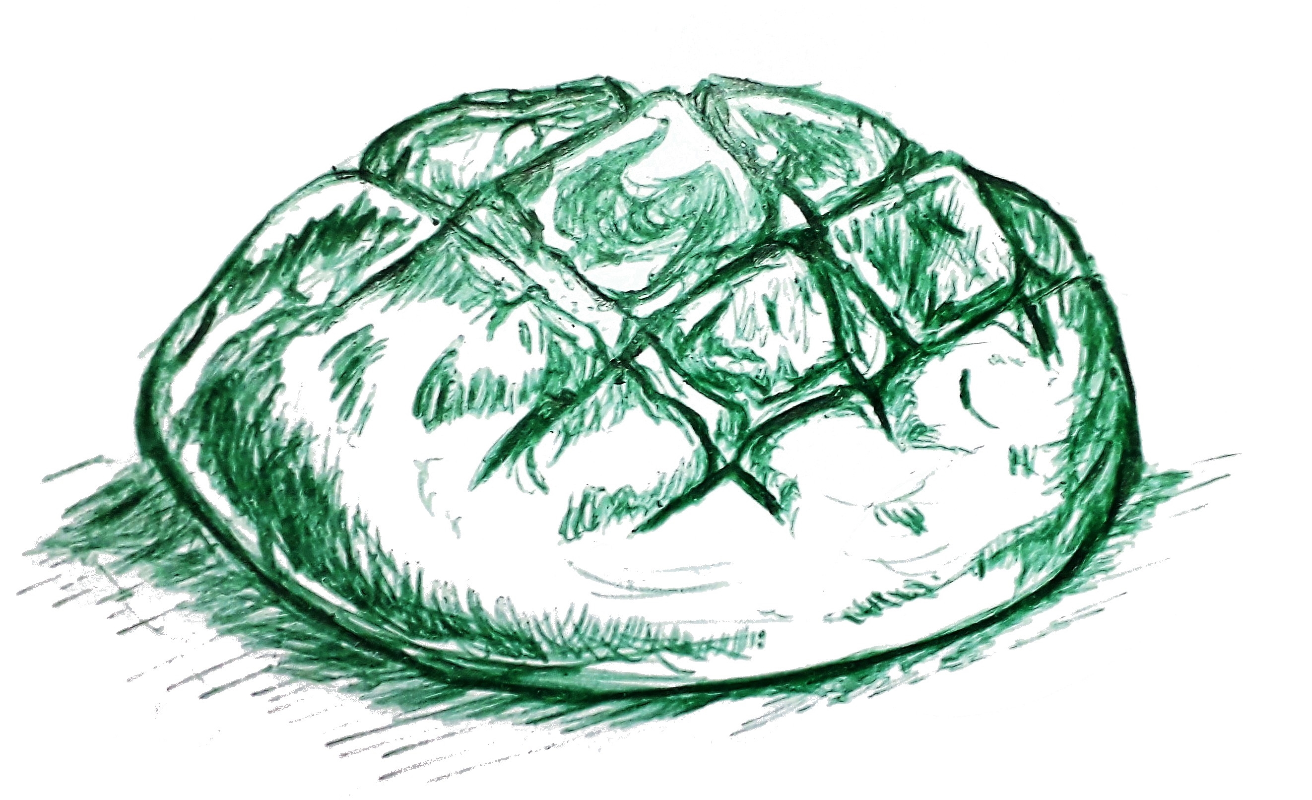 Dessin-pain-1