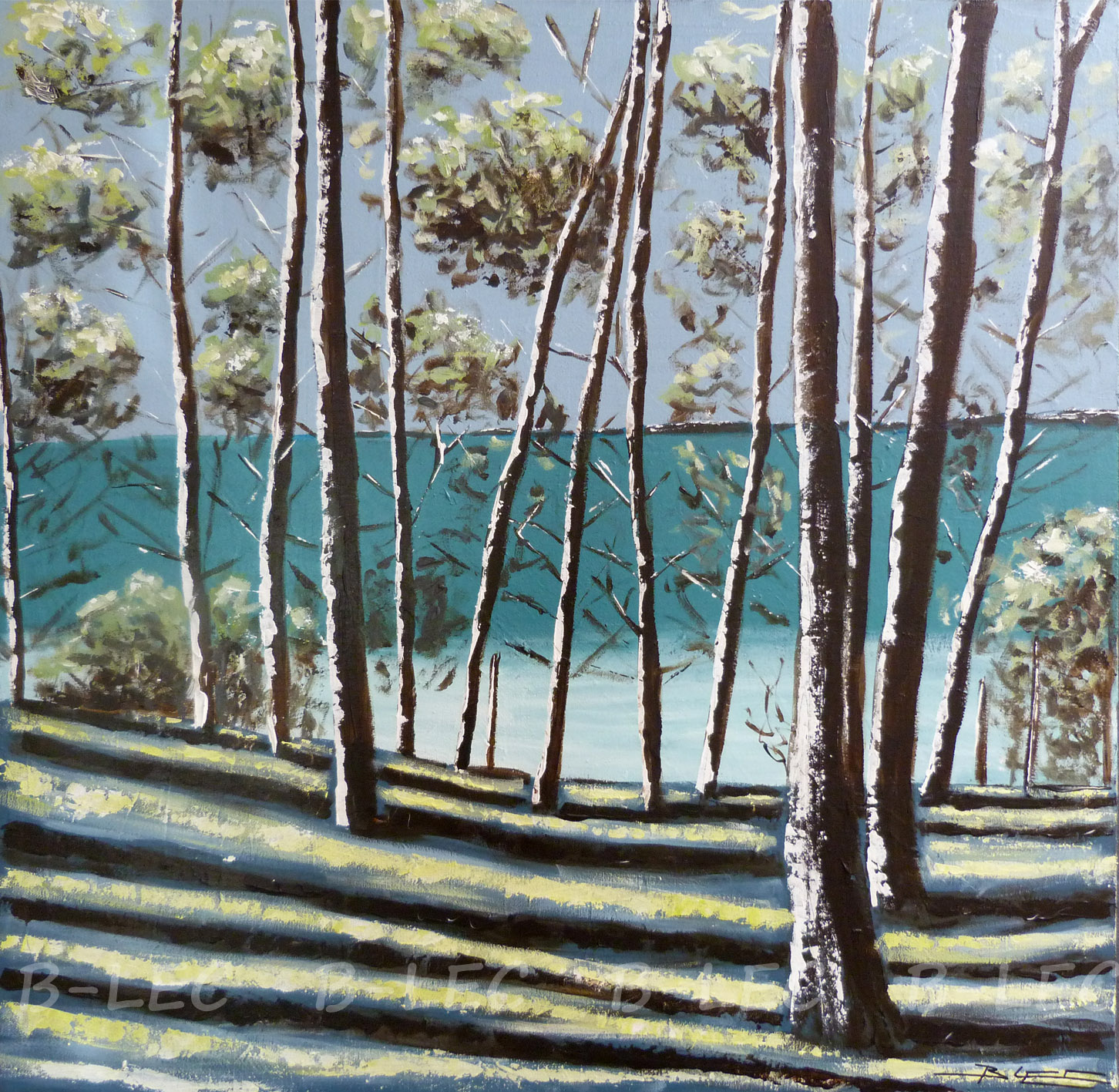 21018 80x80cm