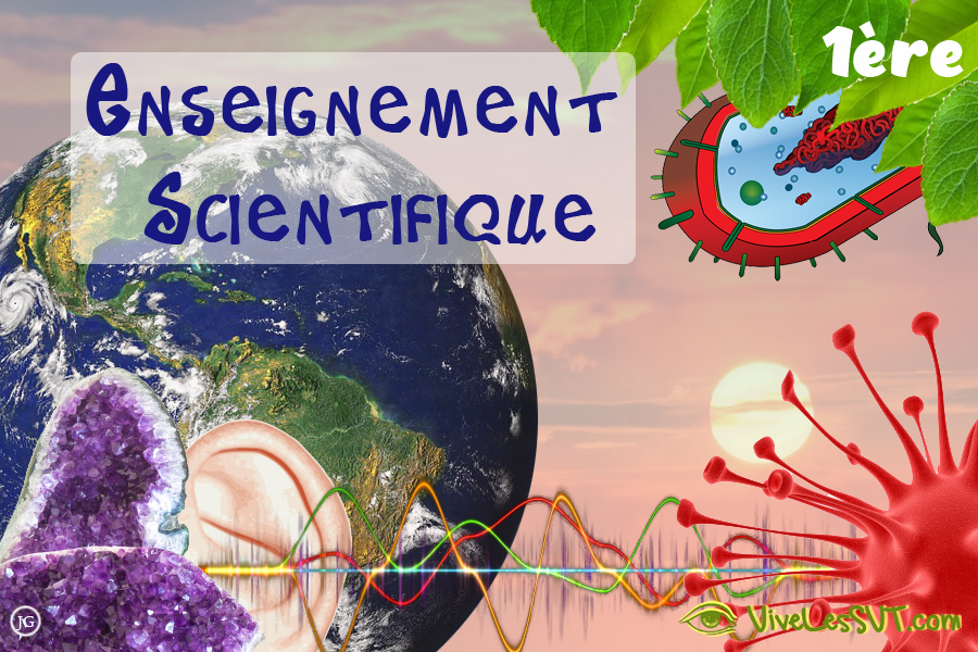 Enseignement-scientifique-SVT-1ere-lycee