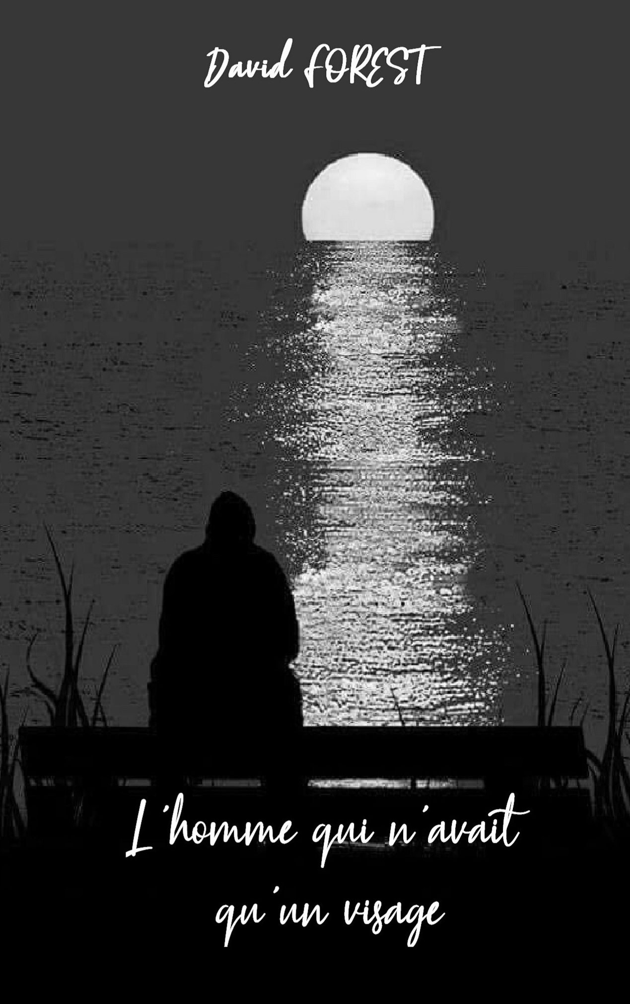 Lhomme-qui-couv-4-brico