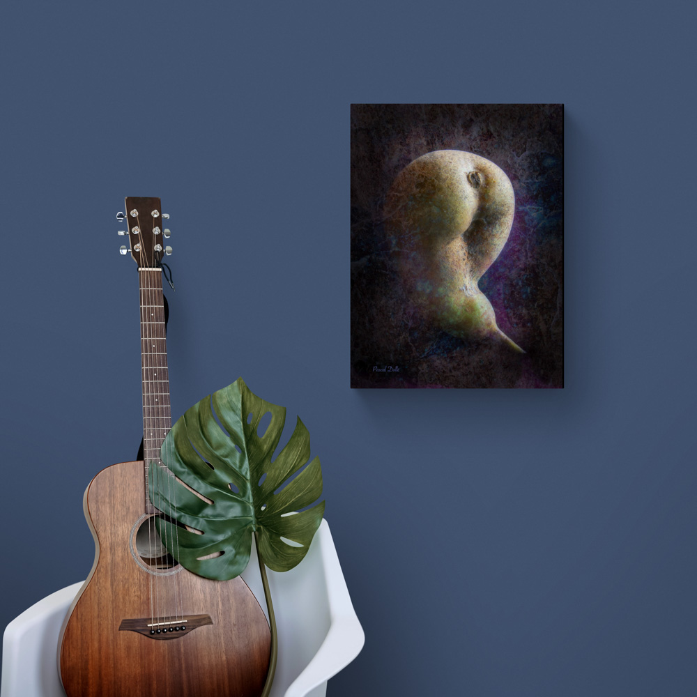 Adopteunlegume 26