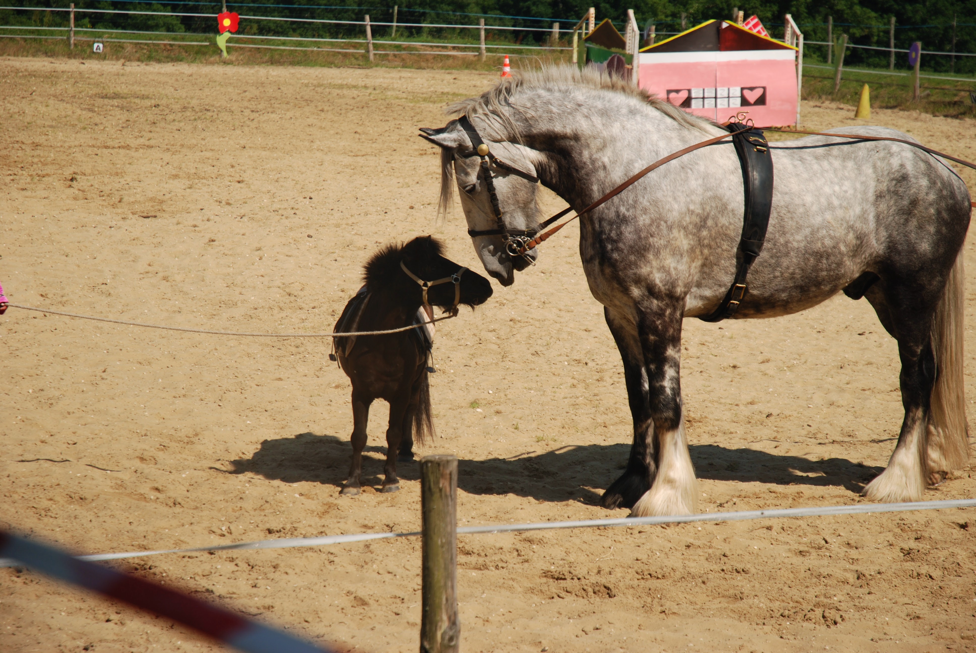 Photos-de-juin-a-31-juillet-2013-261