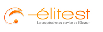 Logo elitest