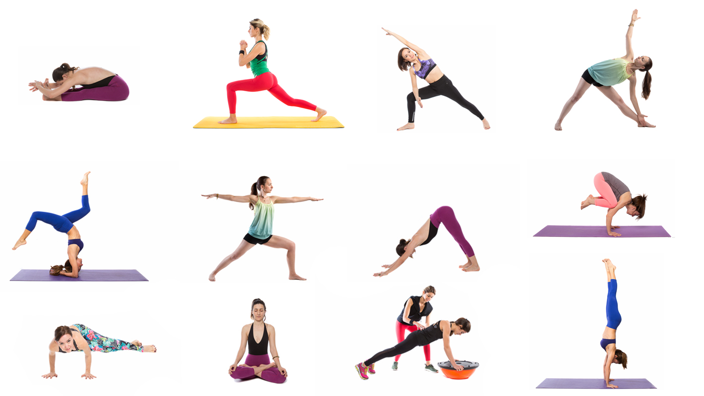 Yoga Trip Rect