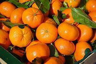 Clementine