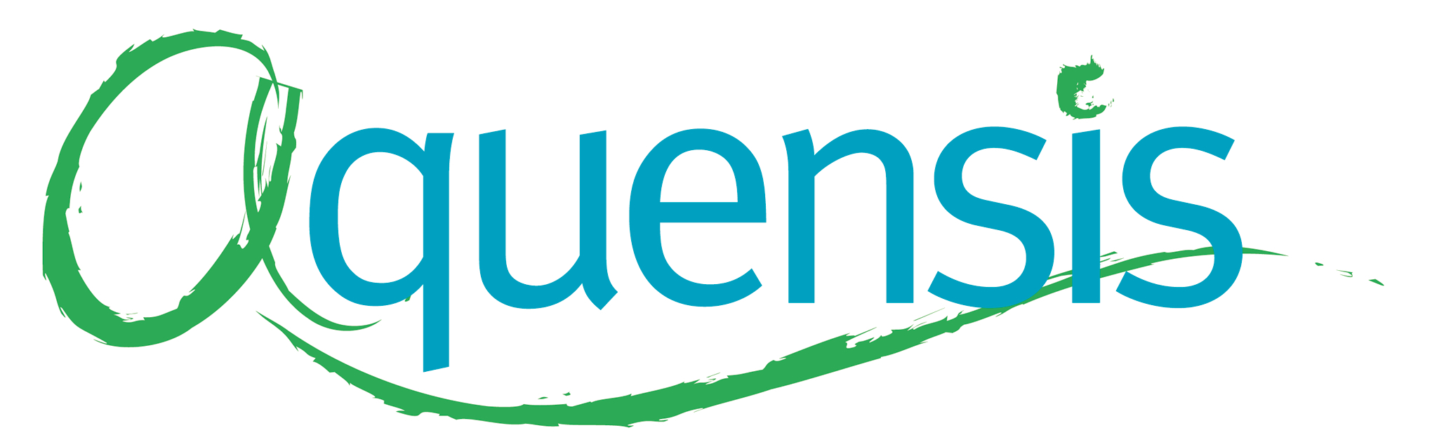 Aquensis