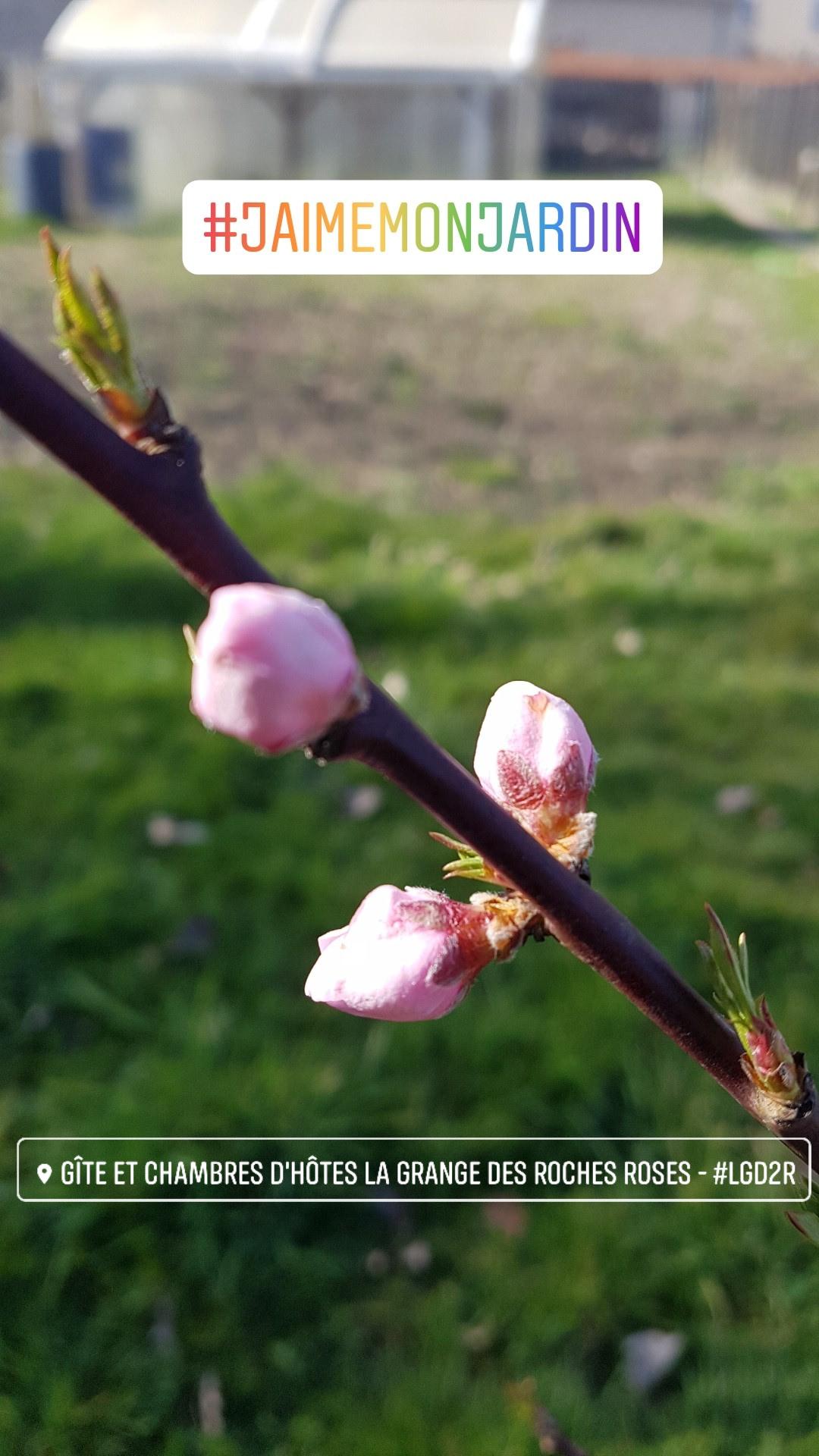 J'aime mon jardin