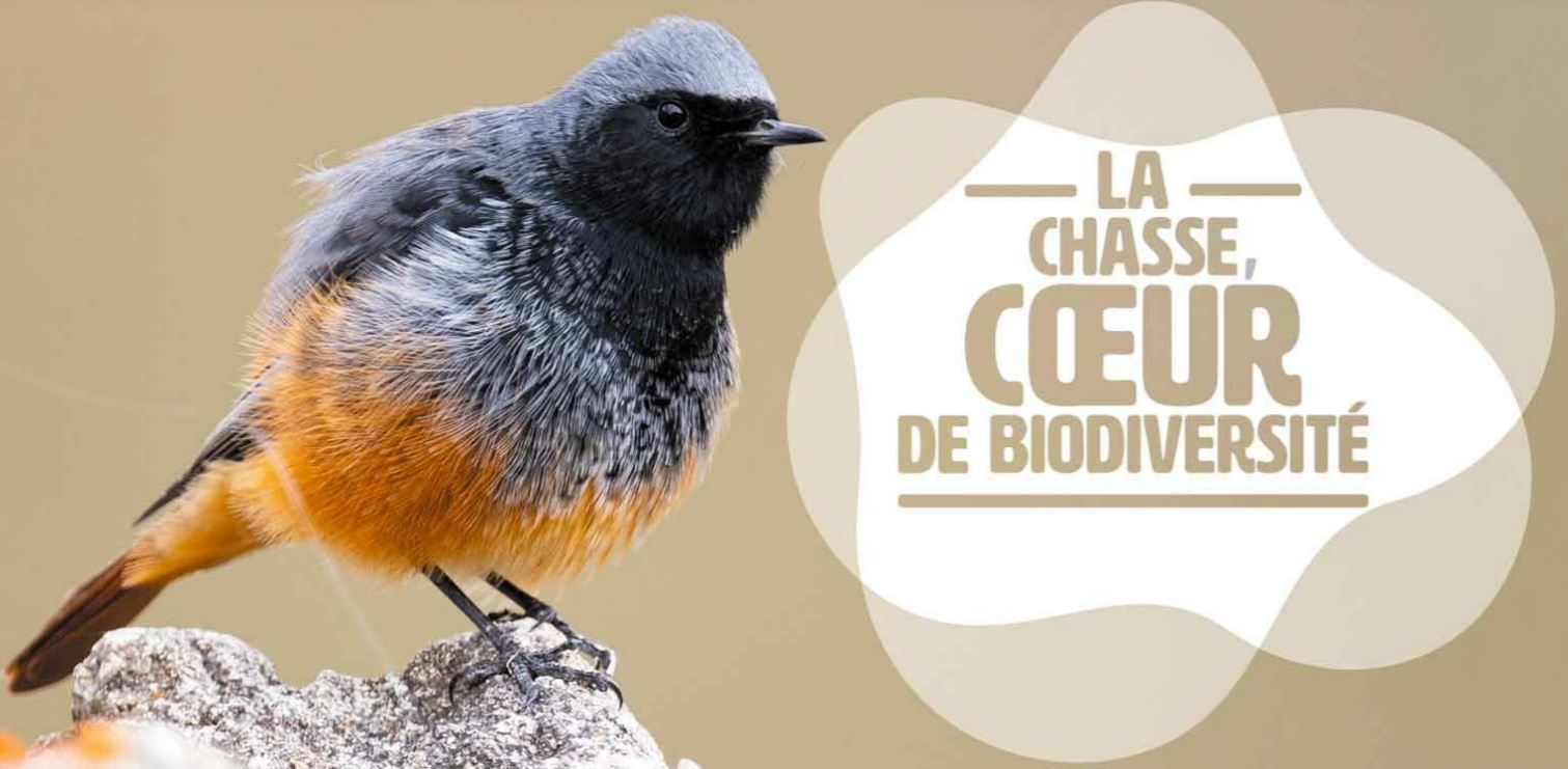 La-chasse-coeur-de-biodiversite