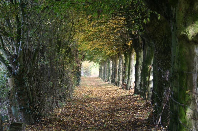 Chemin