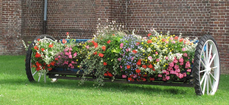 Fleurs