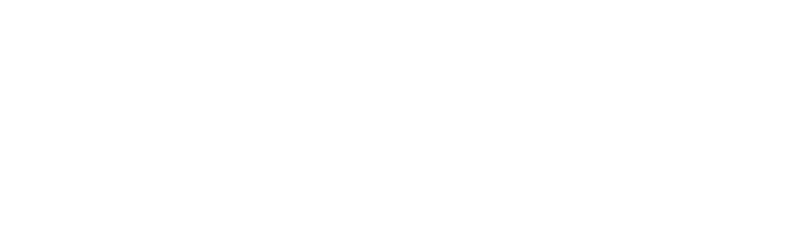 FireFlies-Studio-Logo-Horizo-M-V