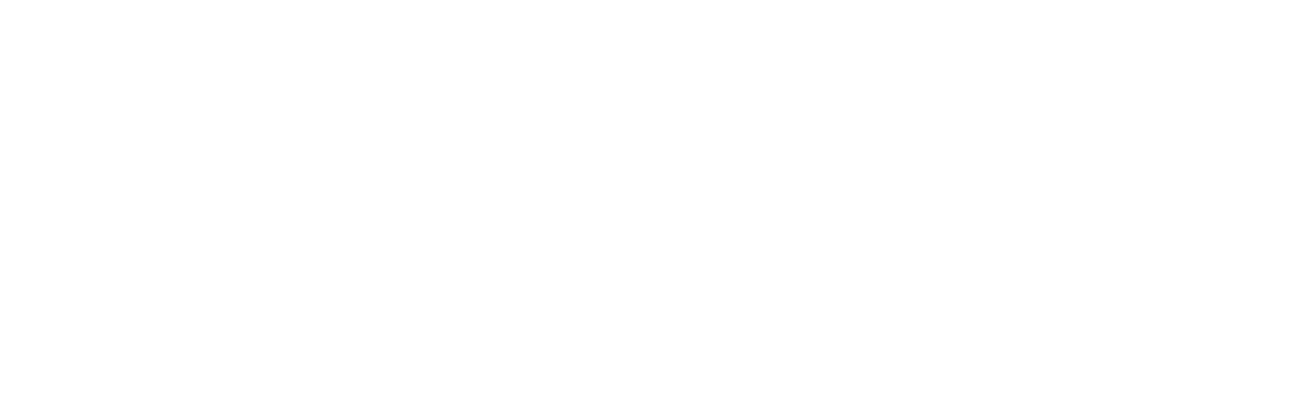 FireFlies-Studio-Logo-Horizo-Movies