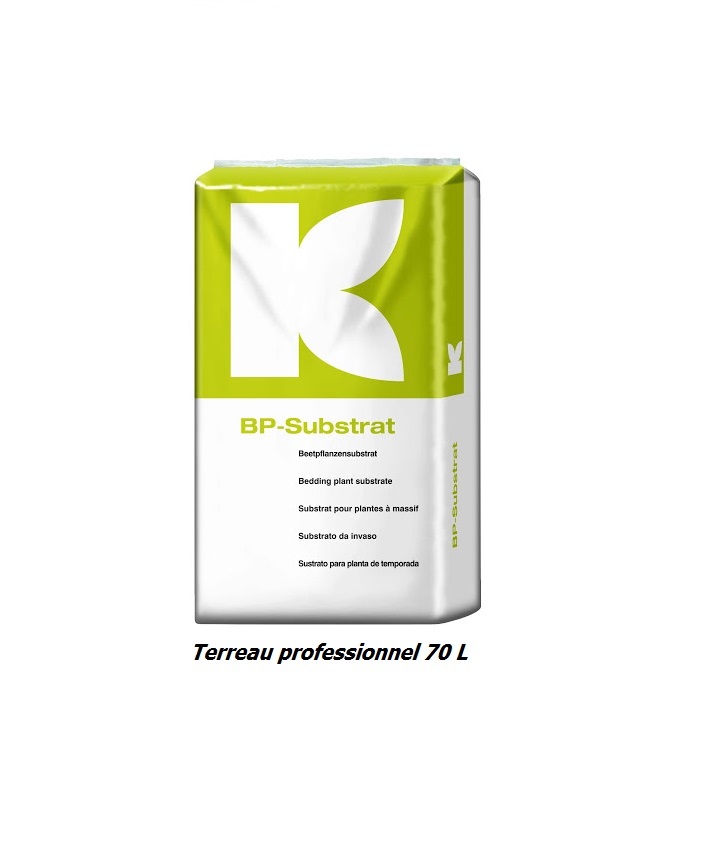 Bp4
