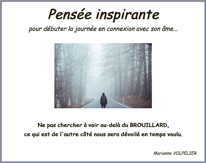 2021 1 28 brouillard