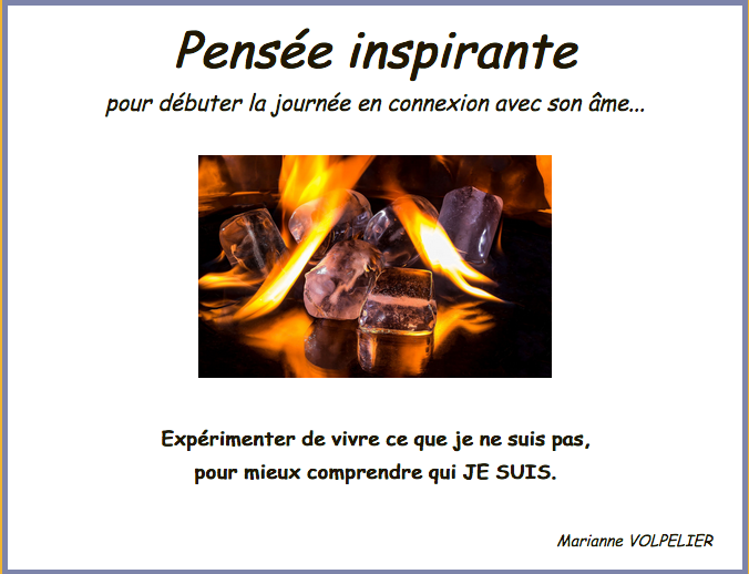 2021 2 14 je suis