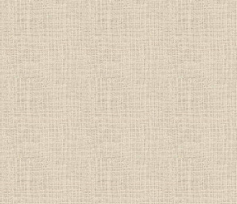 Fonc-toile-jutte