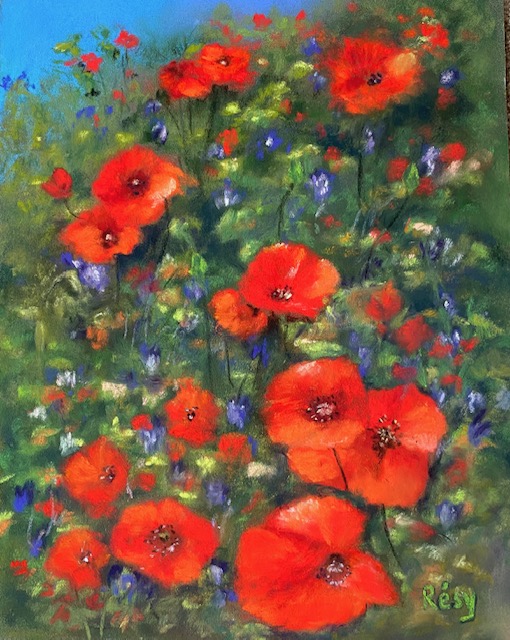 Coquelicots