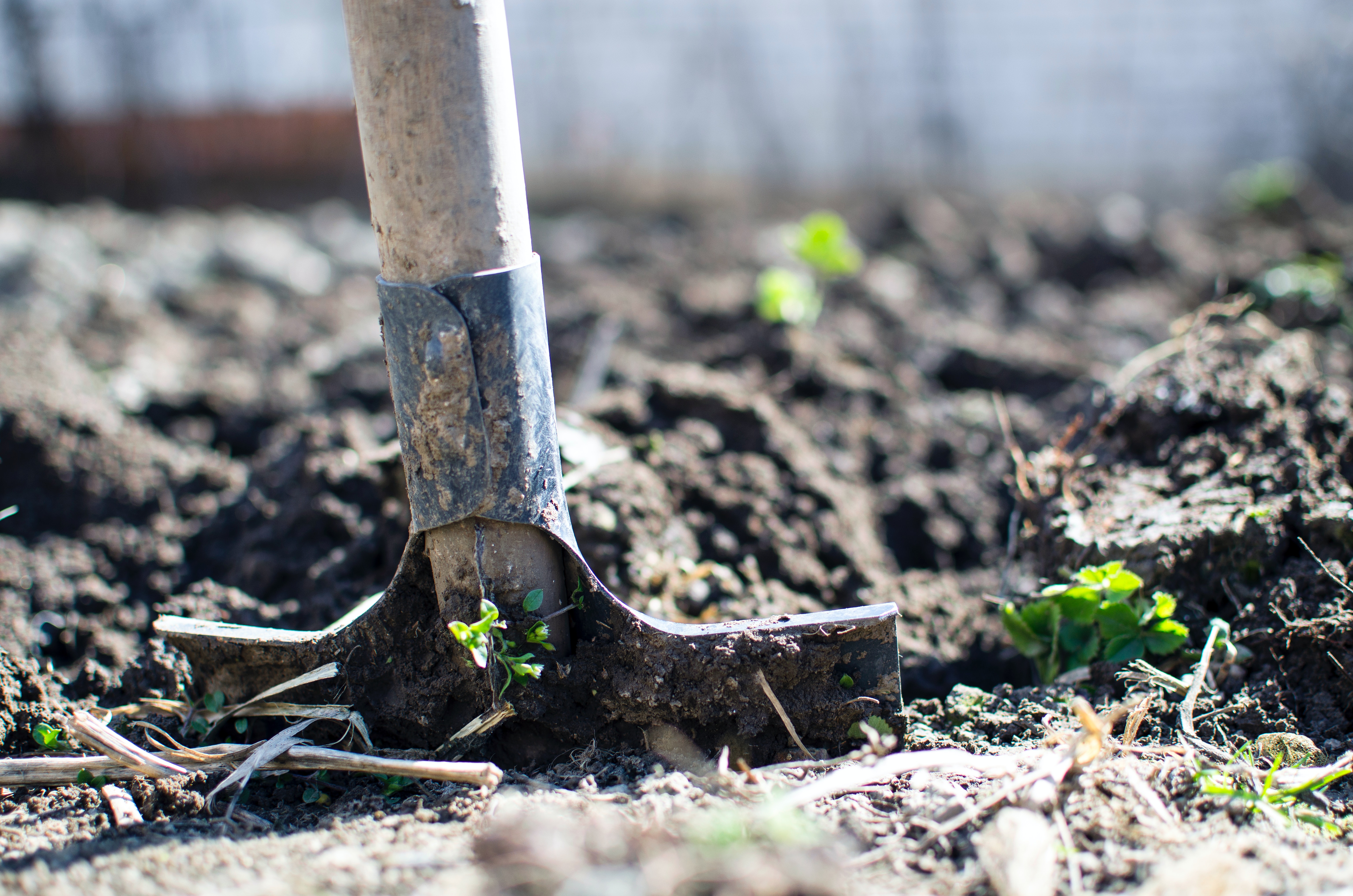 La géobiologie au service des maraichers et jardiniers