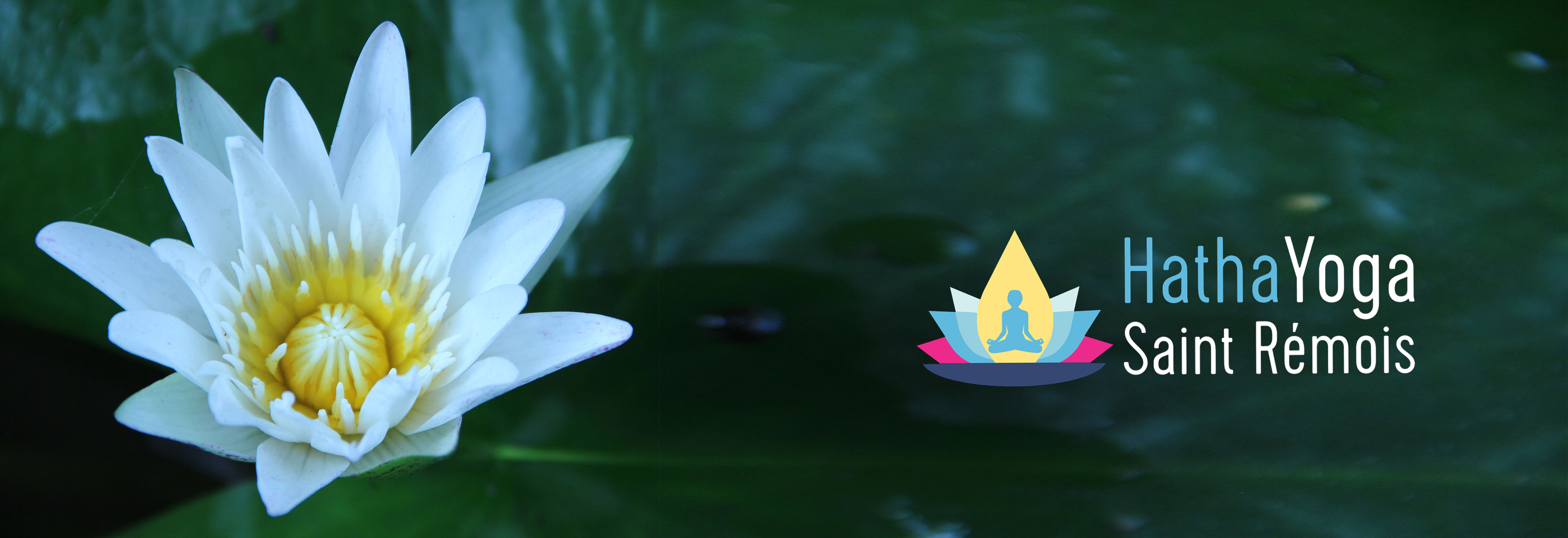 Lotus-Logo