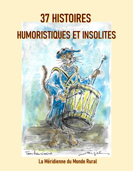 1-couverture-recueil-Histoires-humoristiques-et-insolites