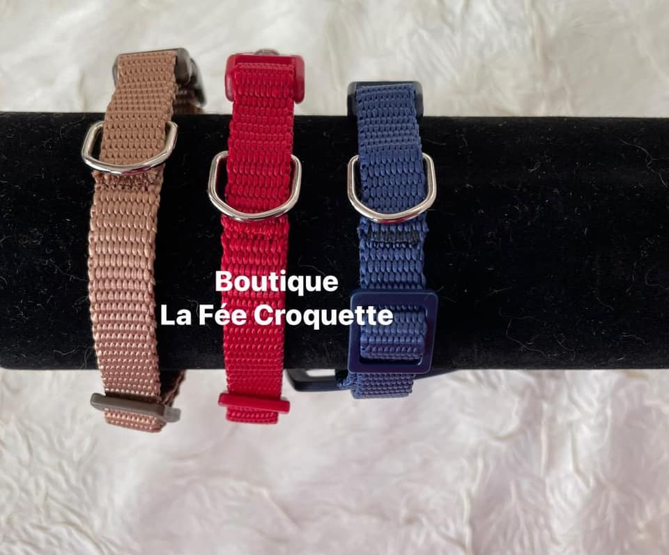 173567854 1482849005415380 3531279738163070027 n