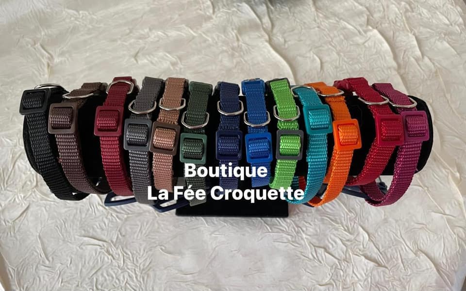 173242212 1482849015415379 1275643780892439847 n