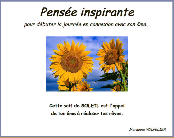 2021 4 12 tournesol