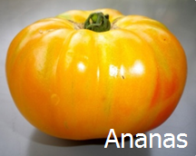 Tomate ananas