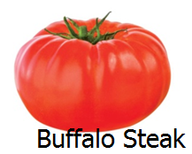Tomate buffalo steak