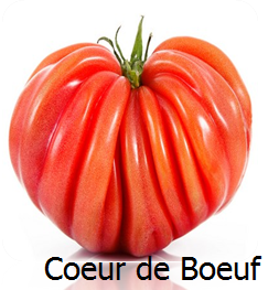 Tomate coeur de boeuf