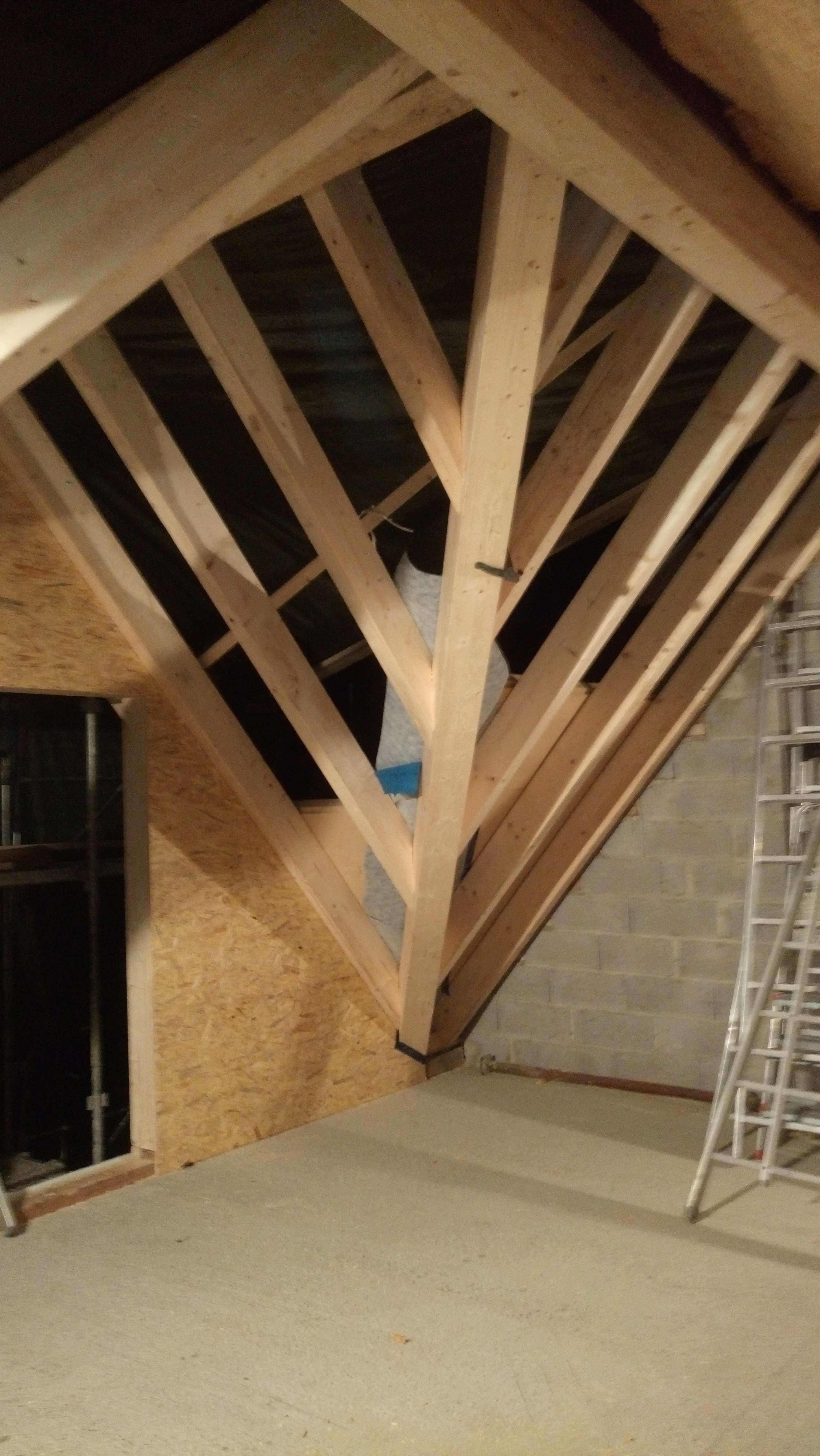 Dsc 0062 1606837683016