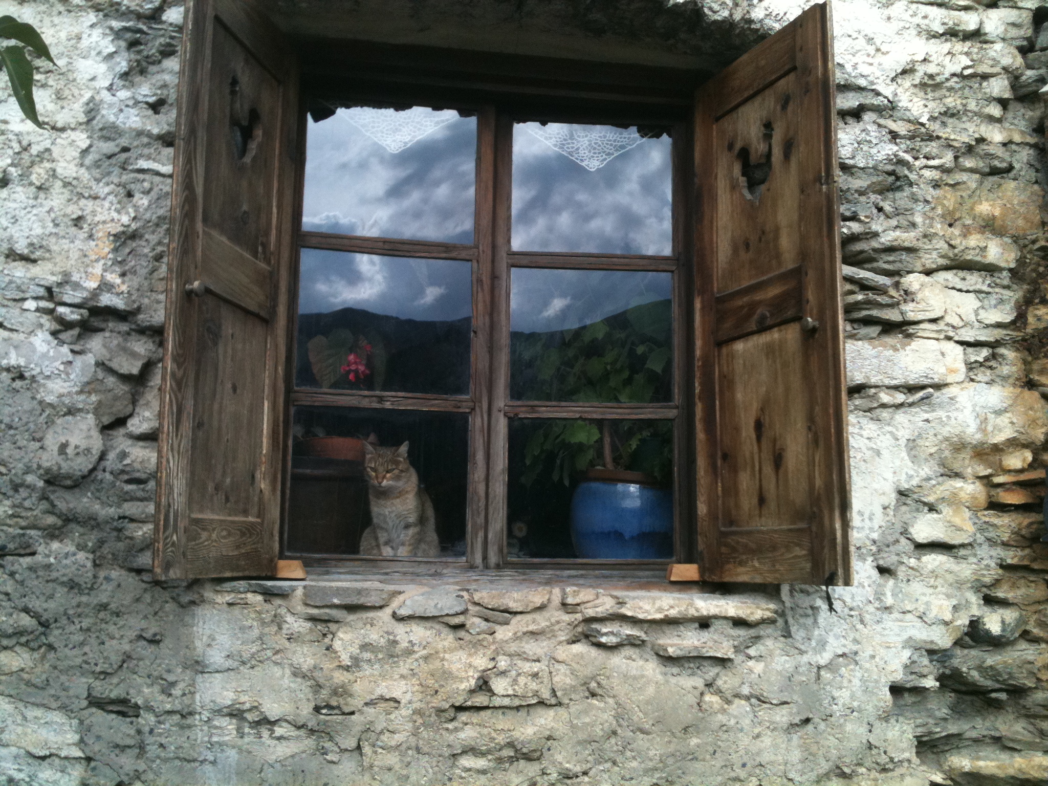 Montgolfiere 080