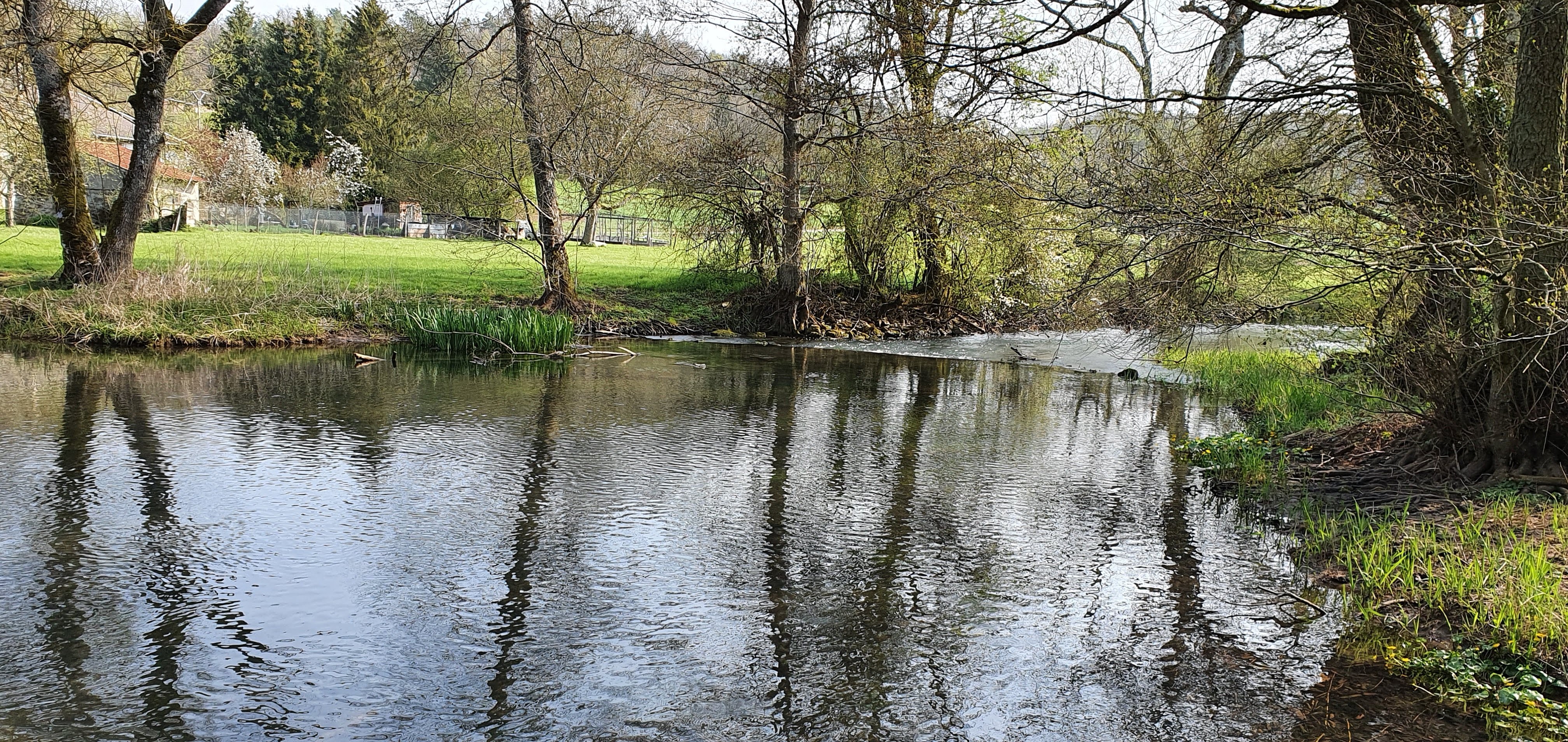 Ruisseau d esch