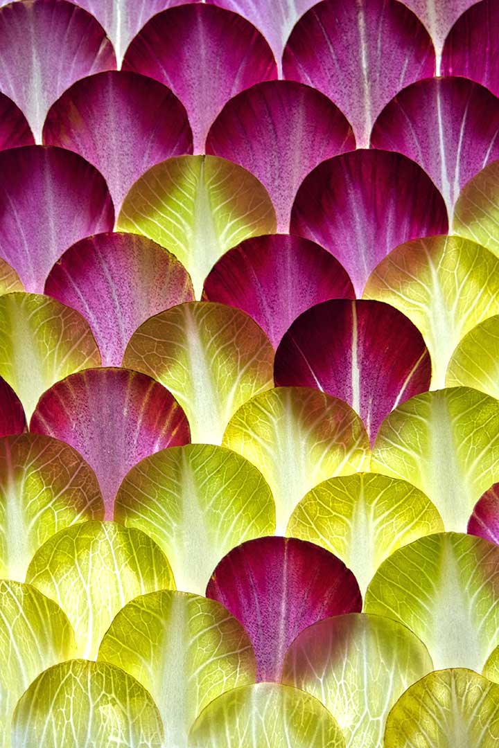 Endives