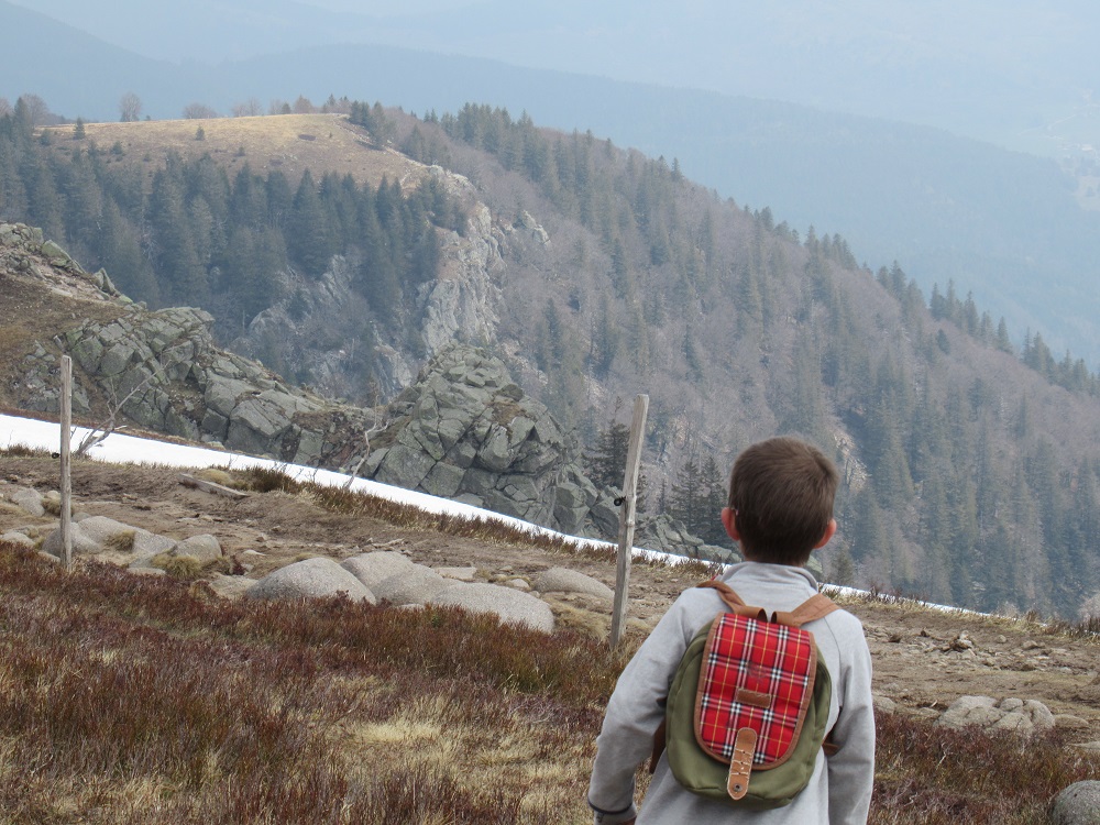 Chamois4