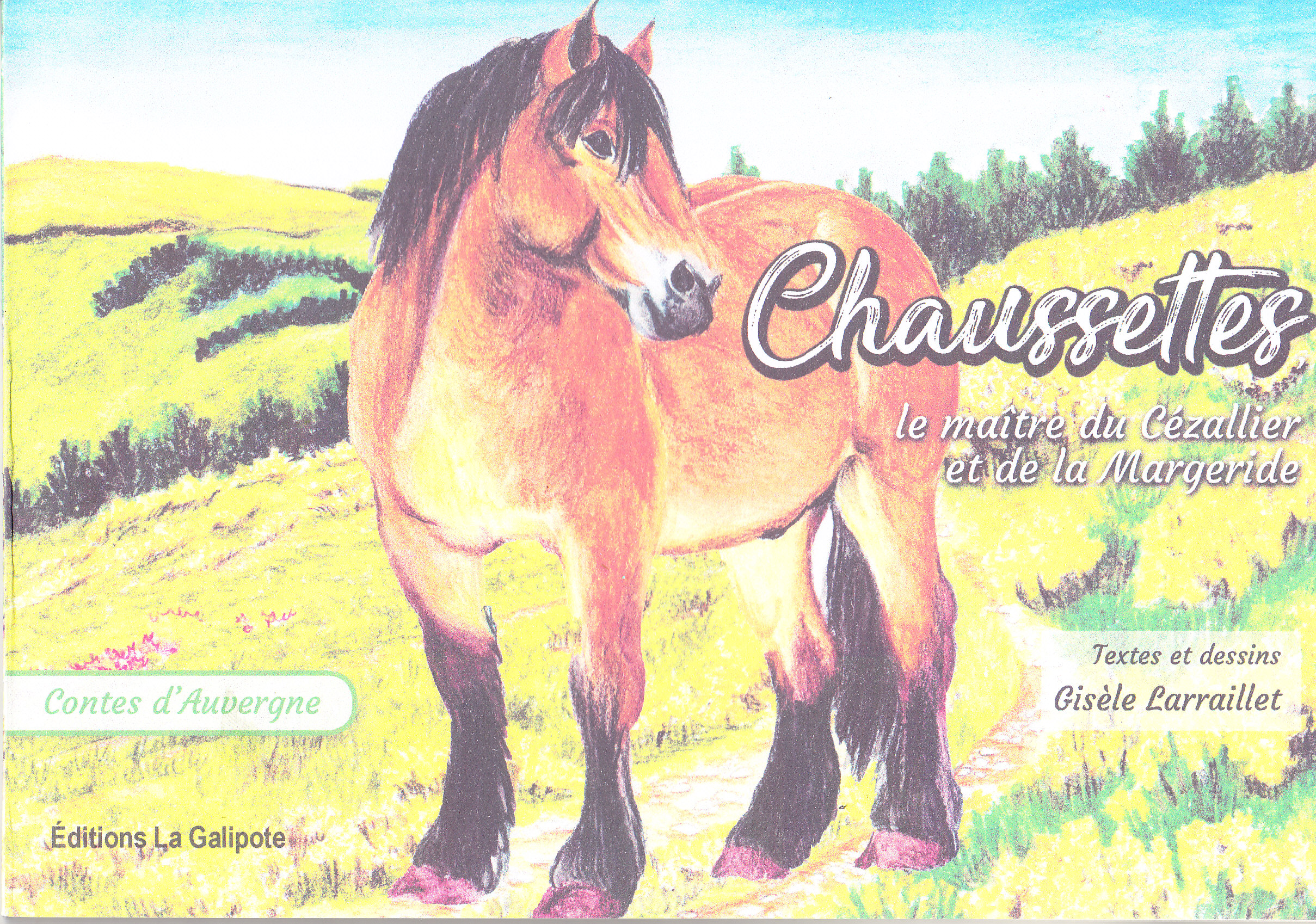Chaussettes, le maître du Cézallier et de la Margeride