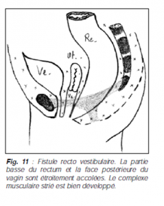 Image-2-MAR-1-239x300