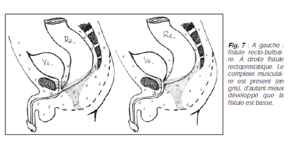 Image-3-MAR-1