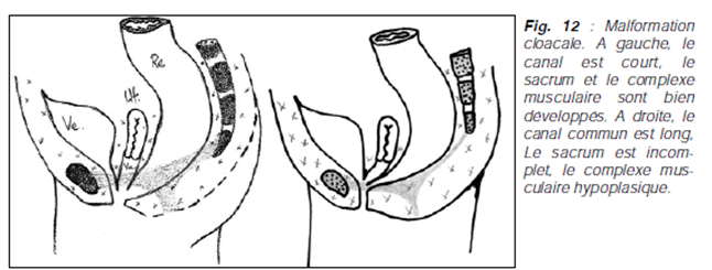 Image-5-MAR-1
