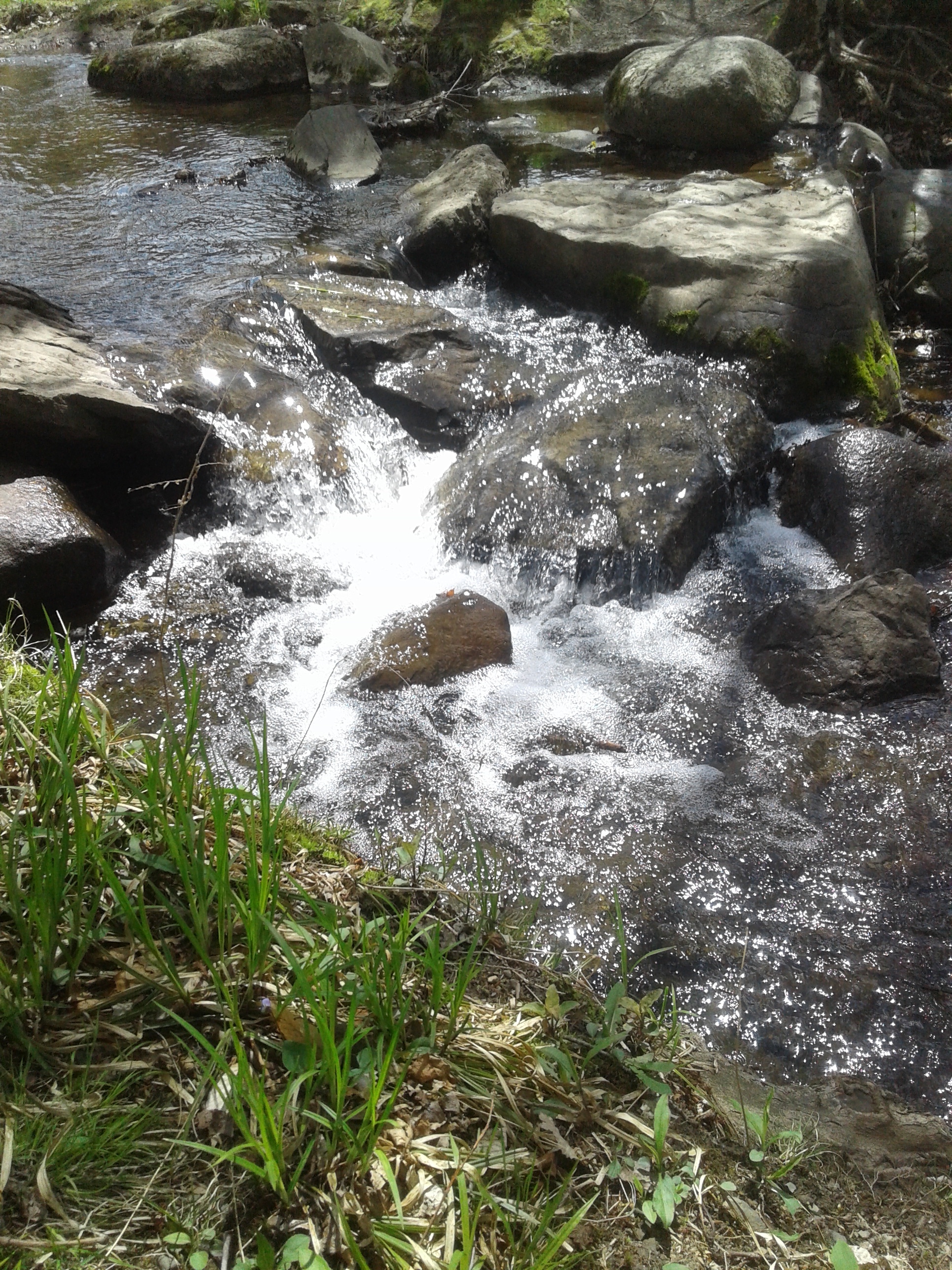 Parcs bromont 9